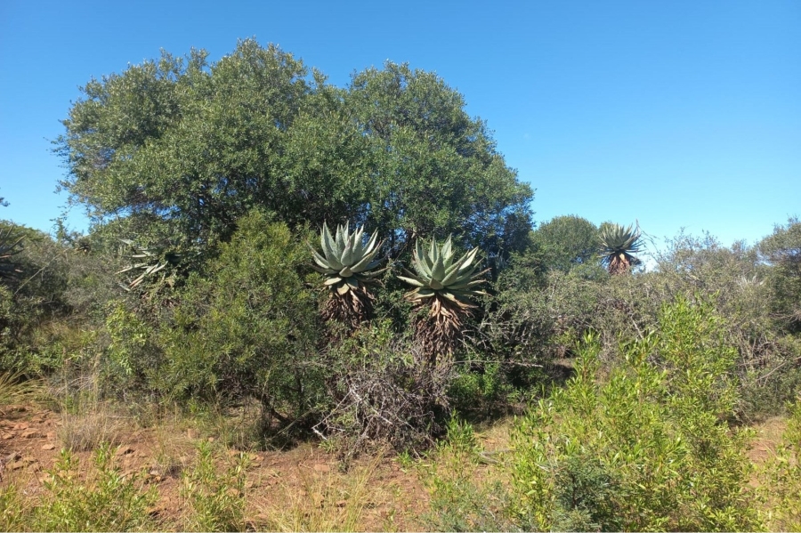 0 Bedroom Property for Sale in Koster North West